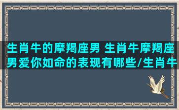 生肖牛的摩羯座男 生肖牛摩羯座男爱你如命的表现有哪些/生肖牛的摩羯座男 生肖牛摩羯座男爱你如命的表现有哪些-我的网站